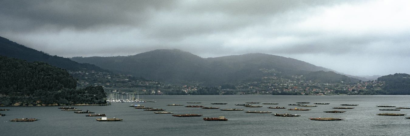 A bay between hills in mist