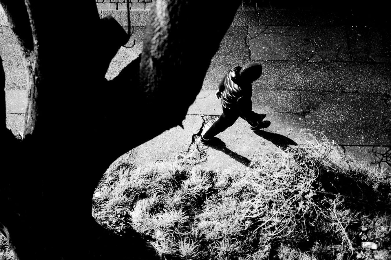A person crouching beside the shadow of a tree